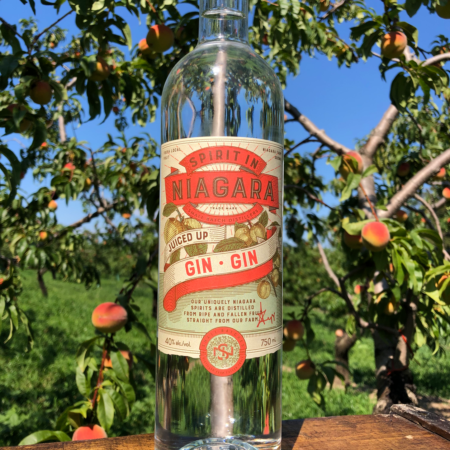 Juiced Up Gin