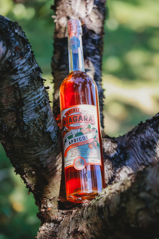 Amours Apricot Liqueur